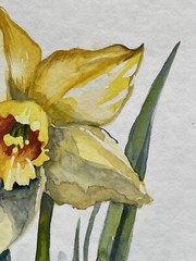 “Narcissus” Original watercolor painting Ukrainian artist