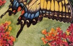 Butterfly Painting Original Watercolor Small Art 5x7in Insect wildlife decor