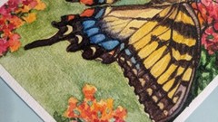 Butterfly Painting Original Watercolor Small Art 5x7in Insect wildlife decor