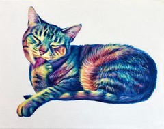 Original Art, Abstract Cat Painting, Rainbow Animal, By Nikki Paintz 11x14inch