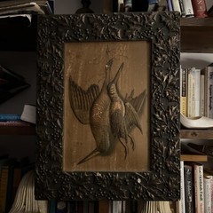 Antique 20” Upland Hunting Pheasant Painting Wooden Plaster Frame Fowling Holly