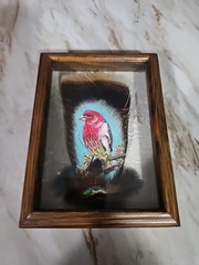 Hand Painted Feather Wall Art American West Indian Bird Framed/Signed 2014