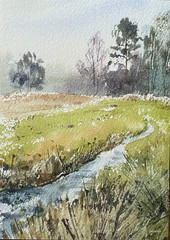 Art Print Watercolor Painting Nature Landscape Forest (5×7 inches) NEW