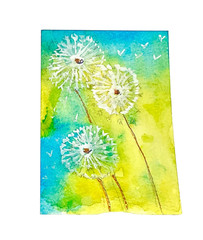 ACEO Original dandelion white blow puff balls flower ATC OOAK Cherie Donnell