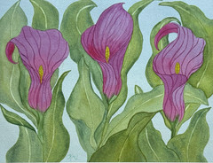 PAINTING WATERCOLOR ART CALLA LILY FLOWER PURPLE VIOLET 11×14 & DOUBLE MAT 16X20