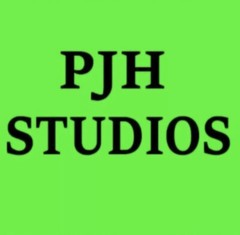 PJH STUDIOS – Audrey Hepburn – Freehand Pencil On Canvas – My Early Art 🎨