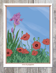 SPRING & SUMMER FLOWERS – Floral Art Prints – 8.5″x11″ – Rose, Peony, Poppy