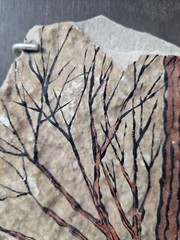 OOAK Hand Painted Owl in a Tree Wall Art Mounted Slate Rock 15 x 9 B Doherty