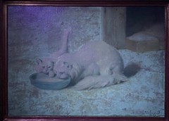 Antique c. 1910 Arthur Heyer Turkish Angora Kitten & Cat Drinking Milk SIGNED