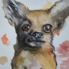 Original Watercolor Painting Cute Chihuahua Pet Portrait 9×6 by JJ