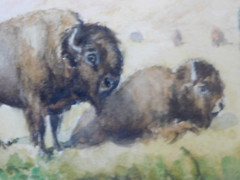 JULIUS J. RORPHURO (1861-1928, France-Calif.); ‚BUFFALOS GRAZING‘, W/C, Signed