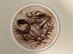 Bob Defrates Lot (2) Prints Shells And Things II /250 Roosting Cockatoo A/P