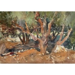 ORIGINAL Art Watercolour Landscape Olive Trees 11×15.7″ Tatiana Ilitzky