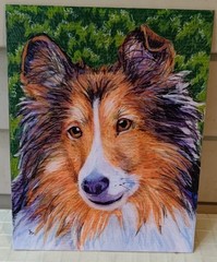 Original painting drawing on board , DOG, COLLIE, animal, 8″x 10″, signed