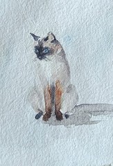 ACEO watercolor painting original Siamese cat home animal pet rural life #SIBY