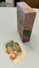 Original Oil Painting of Archias Vegetable Seed Packet Tomato Signed