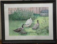 Ducks In The Garden