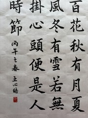Unframed Chinese calligraphy Standard Style Spring Has Hundred Flowers 春有百花2621