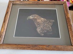 Original Wildlife Scratchboard Art Painting Golden Eagle Bird Portrait Signed