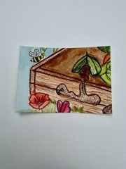 Original ACEO Watercolor Series Vegetable Garden Poppy PaletteandPage Tomatoes
