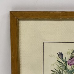 MINIATURE PAINTING WATERCOLOR COLLAGE POSTAGE STAMPS MABEL BARNSBEE LISTED RARE