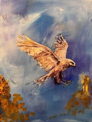 Original Abstract Hawk 12×16 Expressionism Hand Painted Living Room Art 298