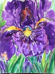 PURPLE IRIS 7.Original Watercolor Painting