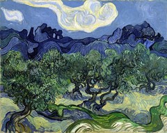 Vincent van Gogh The Olive Trees Reproduction – Giclee Canvas/Paper/Stretched