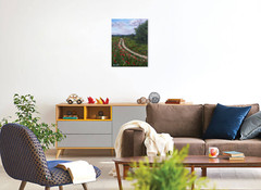 Original Country Path Oil Painting Poppy Meadow Flowers Rural Field Wall Art