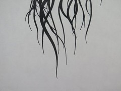 50×70 cm Signed Drawing Cristina Bullio Female Portrait Black Hair c5