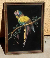 Beautiful Antique Parrot on a Branch PASTEL painting