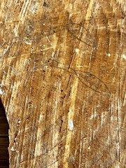 Abstract Hand Painted Natural Live Edge Wood Cut Art Landscape Scene Signed 13”