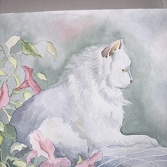Original Watercolor Painting Cat Portrait Kitty Wall Art Unframed 15”x11” Signed