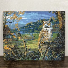 Vintage Paint by Number PBN Painting Art Barn Owl 16” x 20” Farm Country Scene