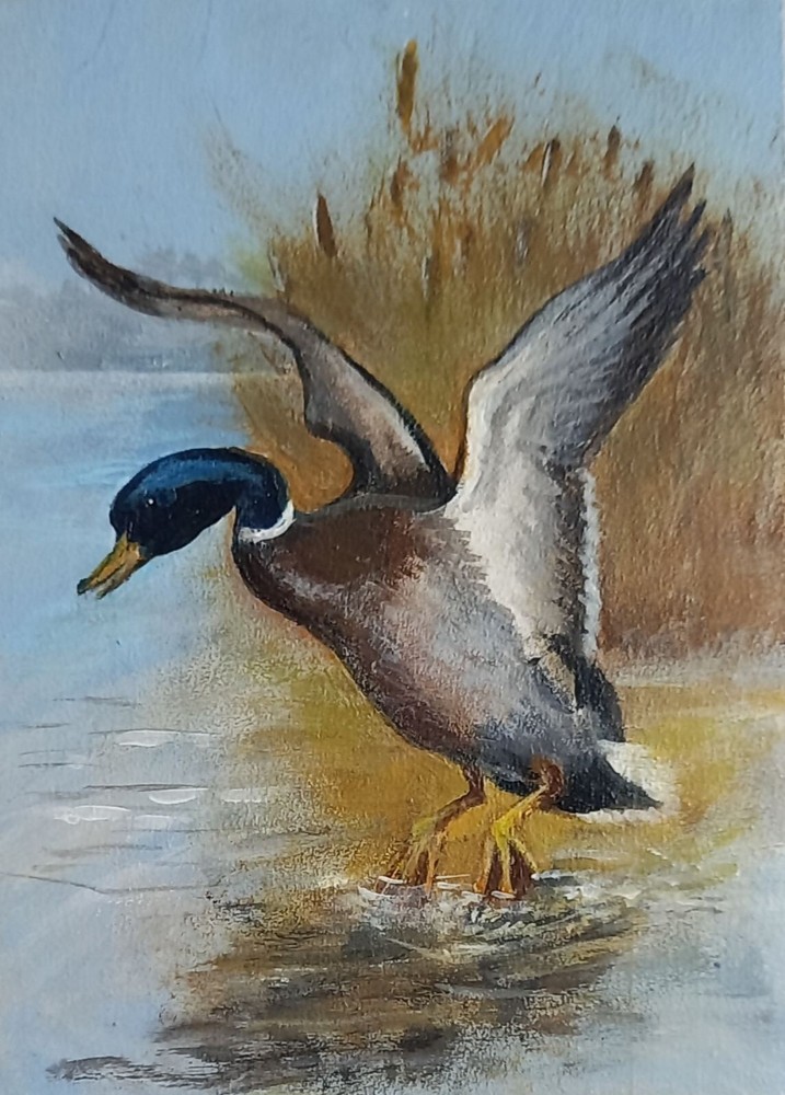 Original Acrylic Painting Landscape of a Drake on a Lake Small Wall Art 5 x 7 in