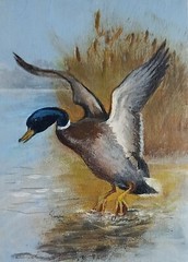 Original Acrylic Painting Landscape of a Drake on a Lake Small Wall Art 5 x 7 in