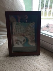 Glass Framed Original Pastel