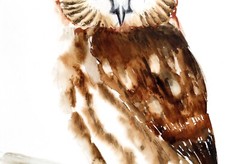 Owl Painting Bird Original Watercolor Nursery Wall Art Woodland Artwork