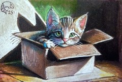 ACEO ORIGINAL PRINT #/ 25 Card Landis Whimsy Kitten Library „Sleeping Calico“