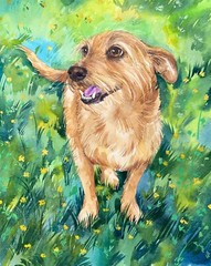 HAND-PAINTED CUSTOM PET PORTRAIT, cat portrait, dog portrait, gift for pet lover