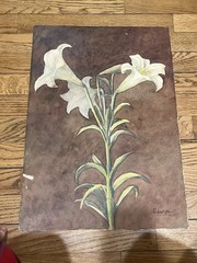 Antique Watercolor Painting on Paper 30s Brazilian Edwiges Jacobusich- Flower