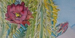 Vivid Desert Blooming Cactus Watercolor & Ink RAMfish Artist 8 1/4″ X 8 3/4″