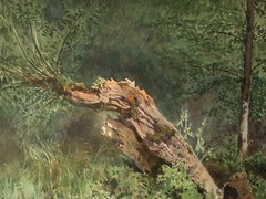 Josef SELLENY (1824-1875) – Baumstamm im Wald.