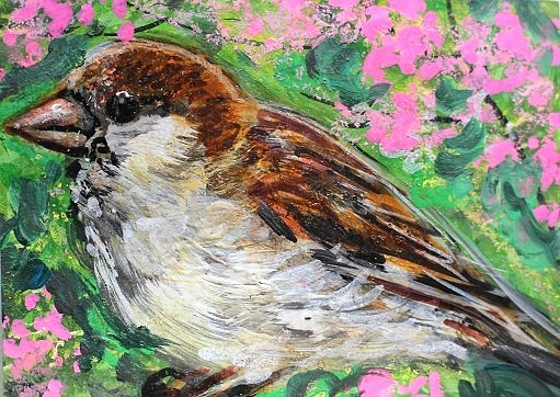 ORIGINAL ACEO BIRD Painting Brown SPARROW Finch Spring Tree Nature Bird ATC ART