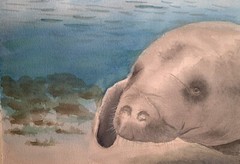 Original watercolor Manatee Dugong made to order underwater painting sea artwork