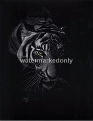 An Intriguing Tiger’s Face Shadow Scratch -Reg Board 8.5″x11″ Scratch Signed