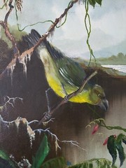 Vintage Signed Dowling Painting Orchid Tropical Orchid Bird after Martin Heade