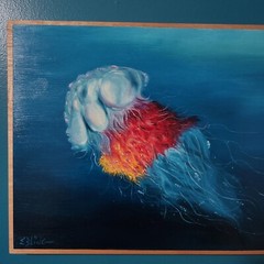 Original animal art Oil Painting Sea Life Jelly Fish signed