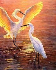 Animals Waterfowl Egret Art Giclee Printed Oil Painting Print