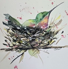 Original Signed Watercolor Painting. Hummingbird. 12×9″ Bird. Nest. Birdnest.